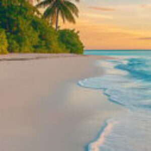 Profile photo of mohamed